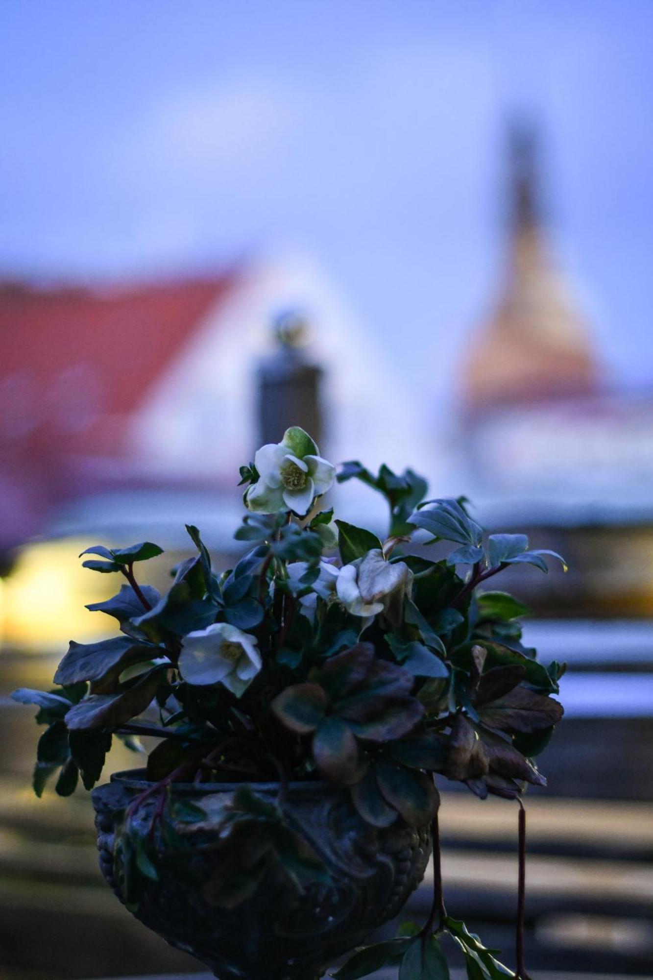Prins Carl Ystad Bagian luar foto